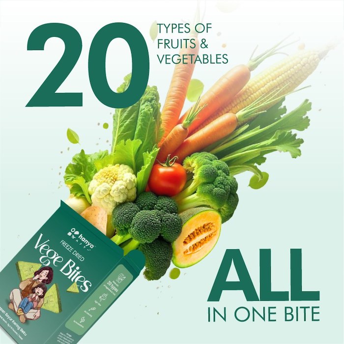 hanya freeze dried vege bites healthy high fibre veggie vegetables and fruits biscuits cracker 蔬菜水果健康高纤维零食饼干